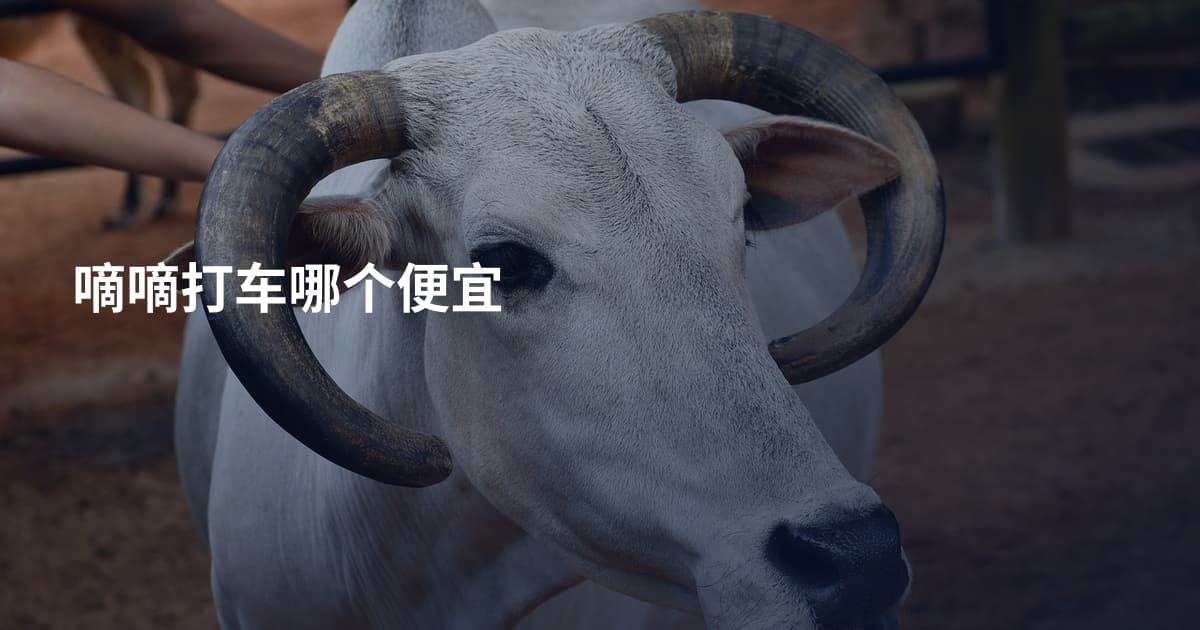 嘀嘀打车哪个便宜