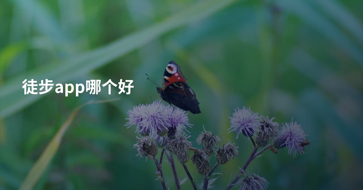 徒步app哪个好