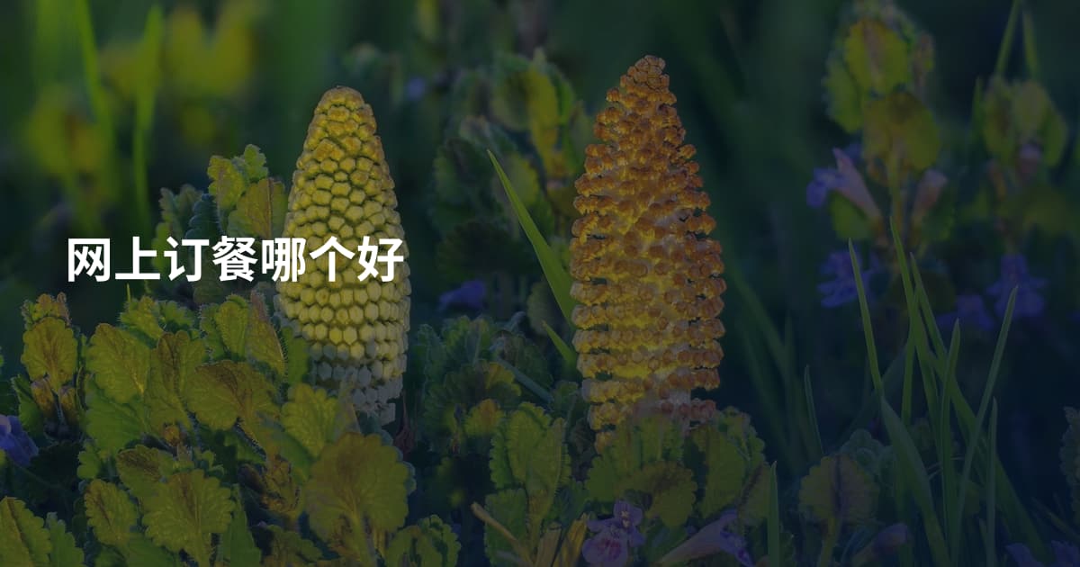 网上订餐哪个好