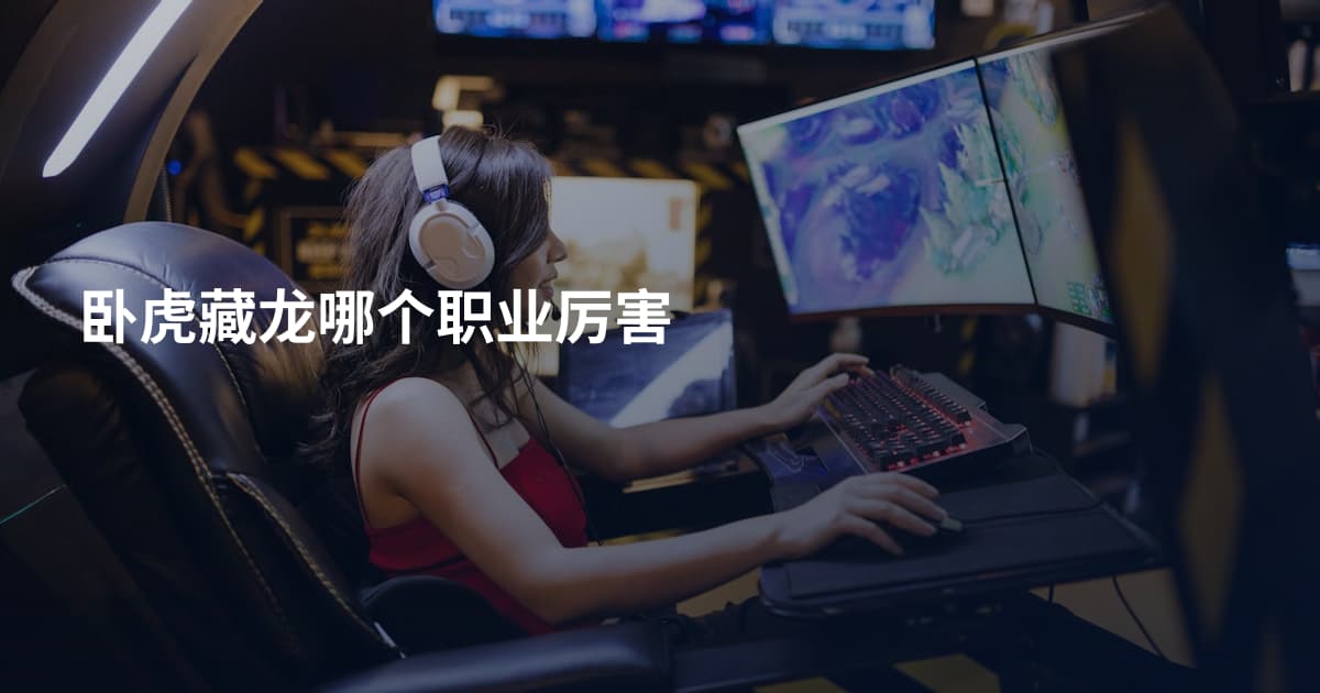 卧虎藏龙哪个职业厉害