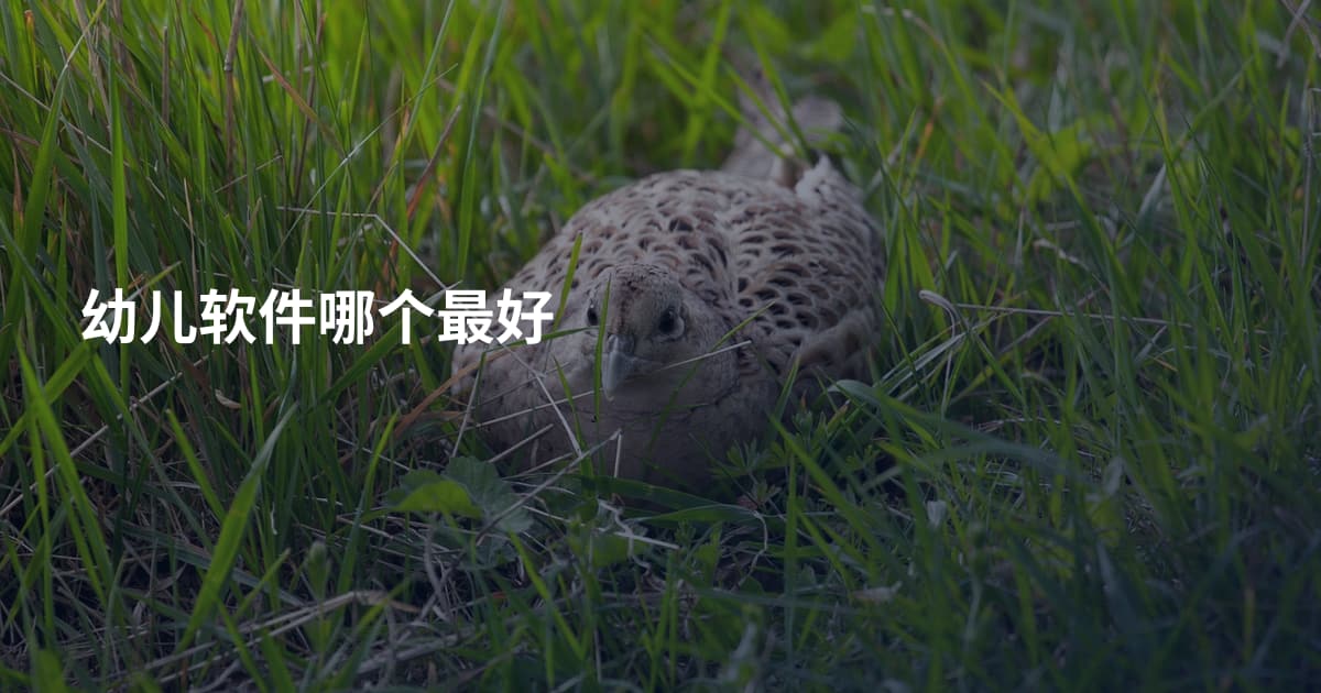 幼儿软件哪个最好