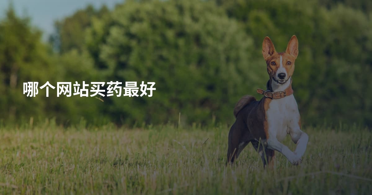 哪个网站买药最好