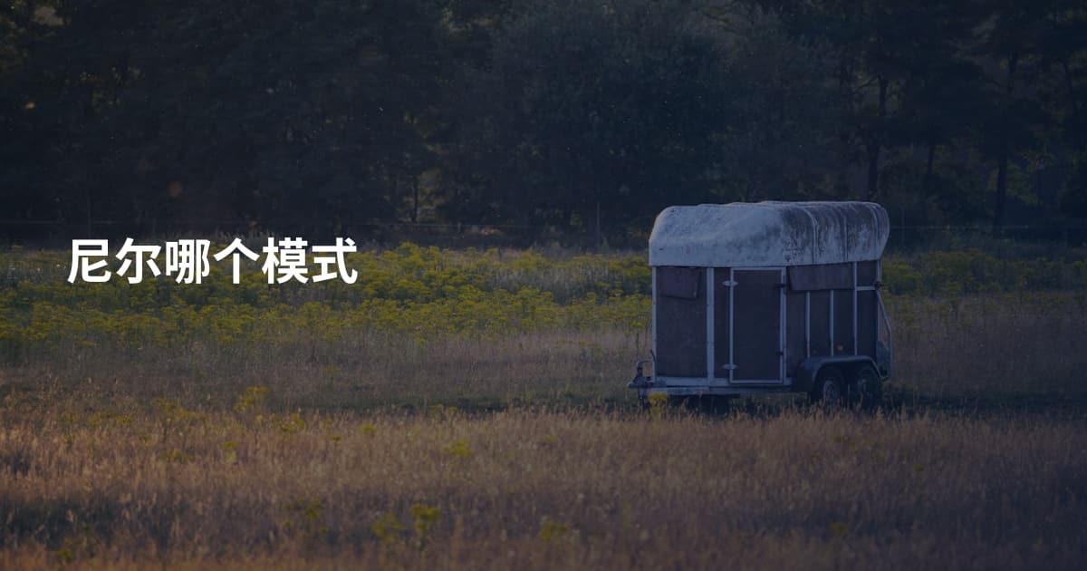 尼尔哪个模式