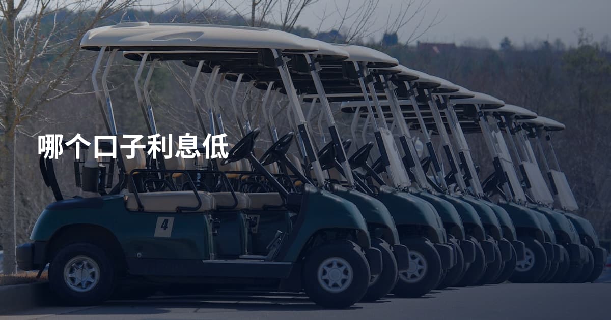哪个口子利息低