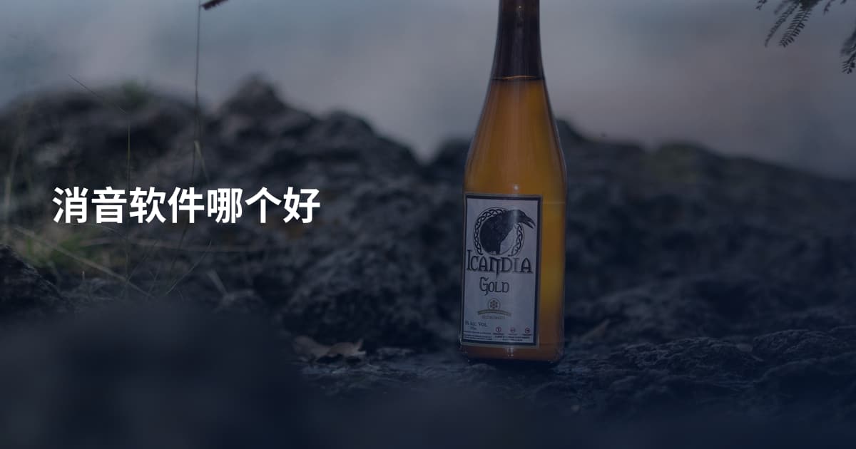 消音软件哪个好