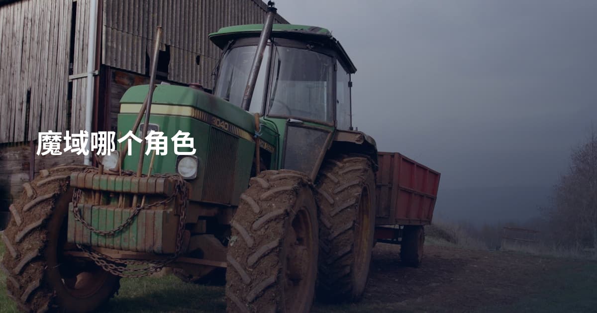 魔域哪个角色