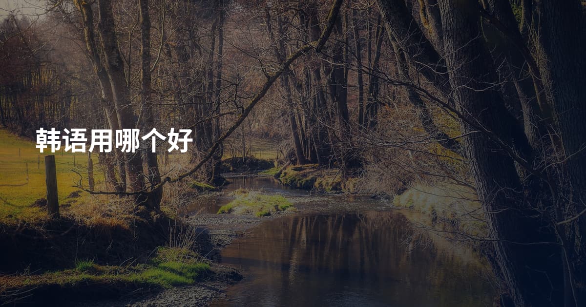 韩语用哪个好