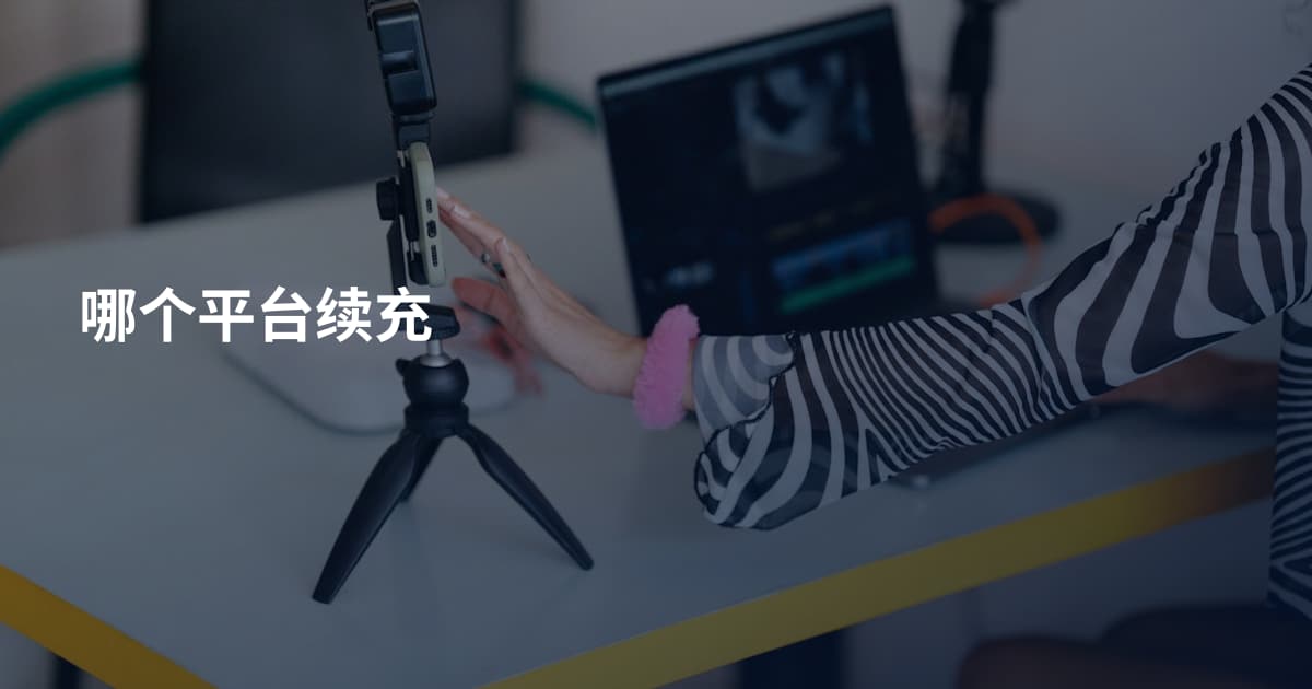 哪个平台续充