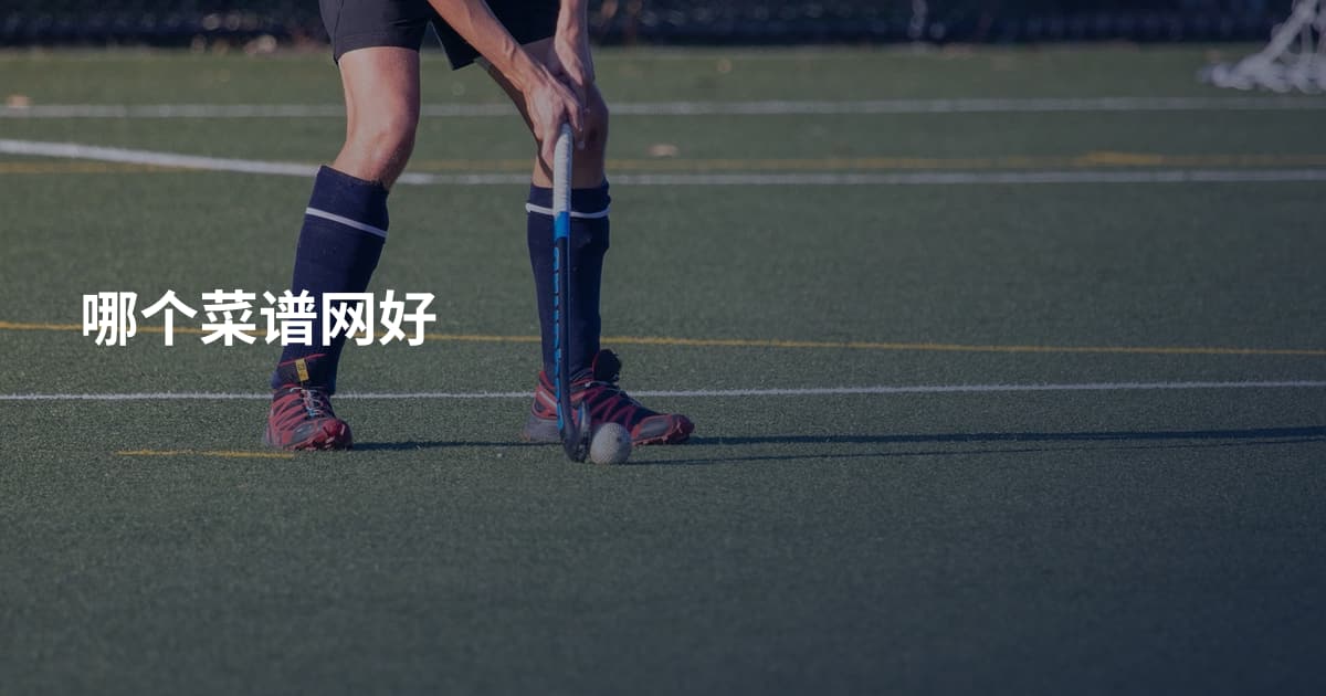 哪个菜谱网好
