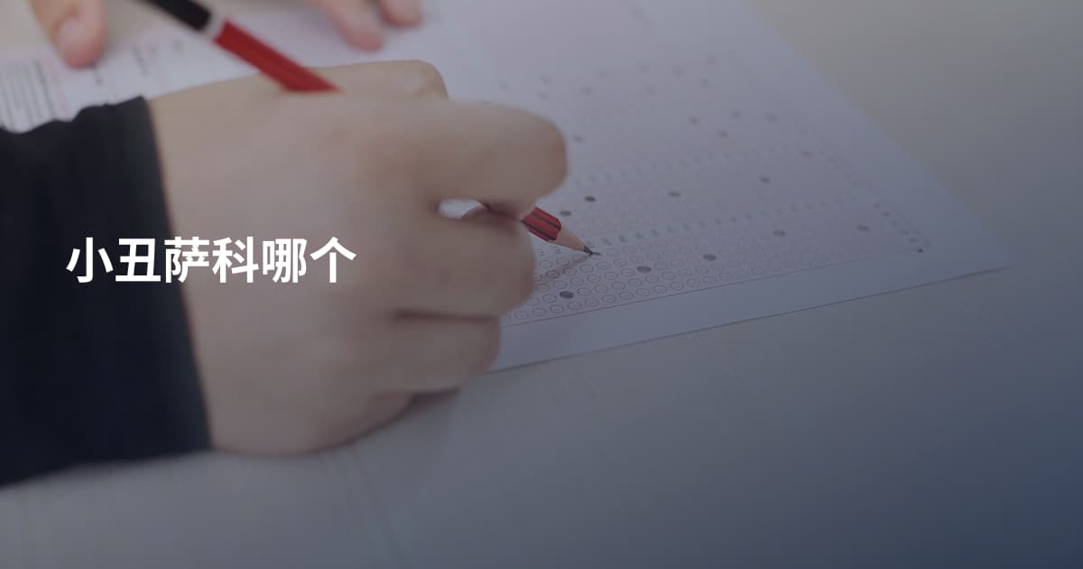 小丑萨科哪个