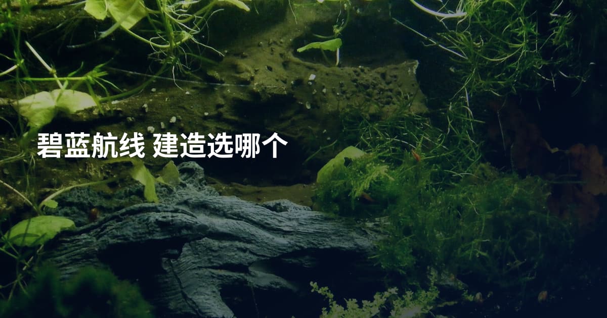 碧蓝航线 建造选哪个