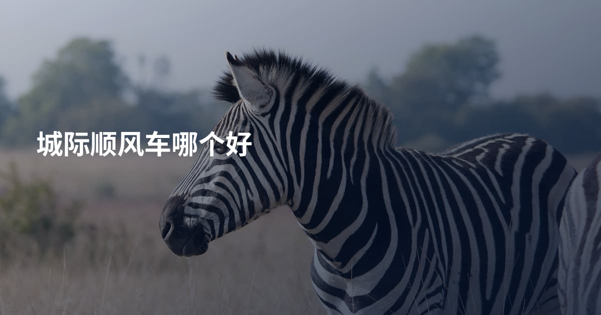 城际顺风车哪个好
