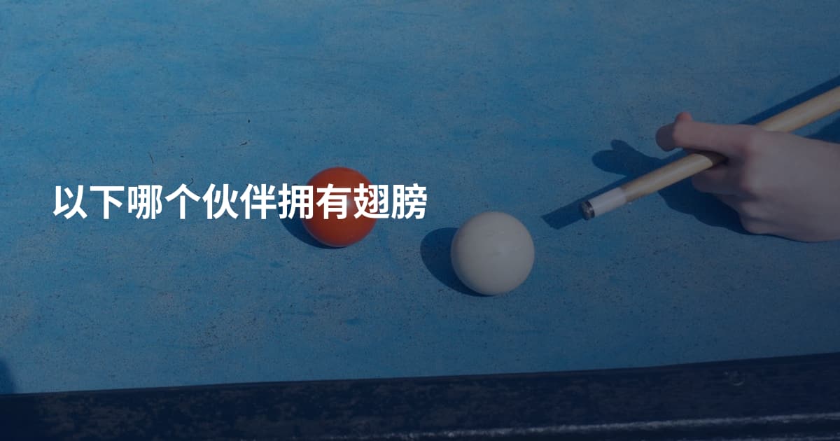 以下哪个伙伴拥有翅膀