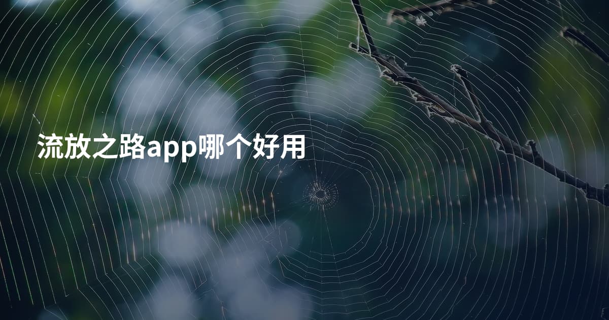 流放之路app哪个好用