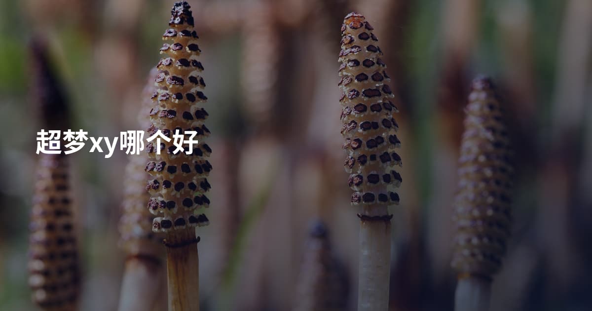 超梦xy哪个好
