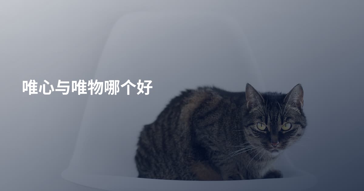 唯心与唯物哪个好