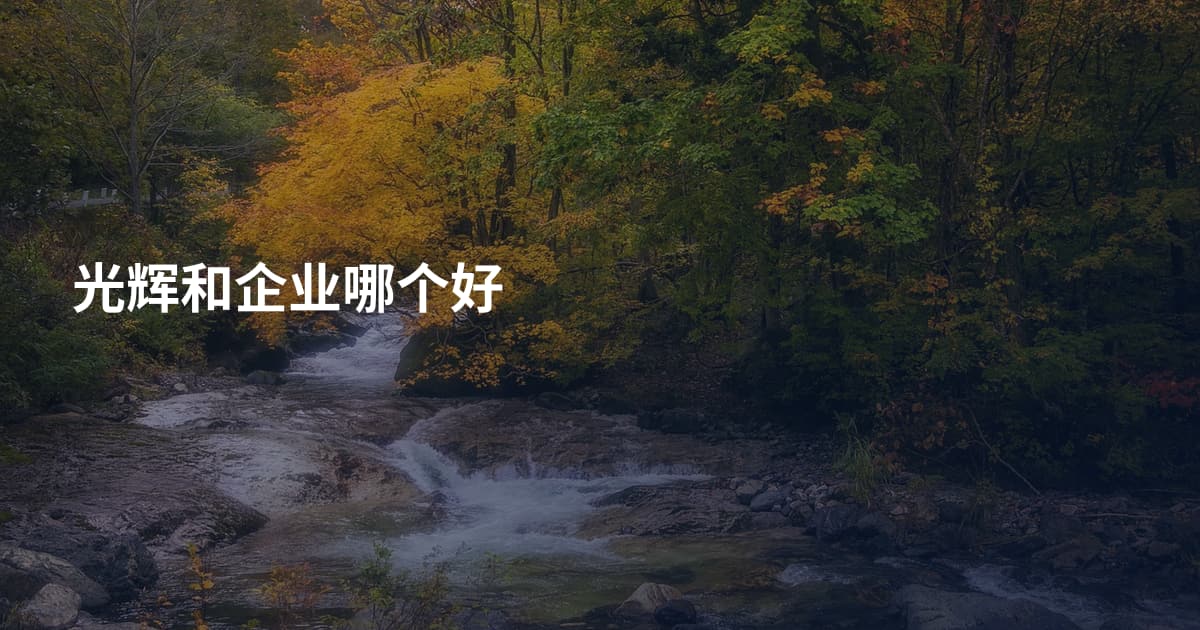 光辉和企业哪个好