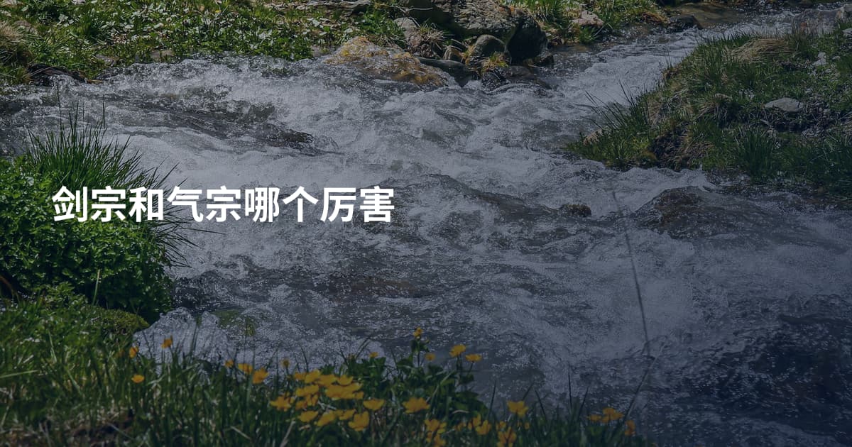 剑宗和气宗哪个厉害