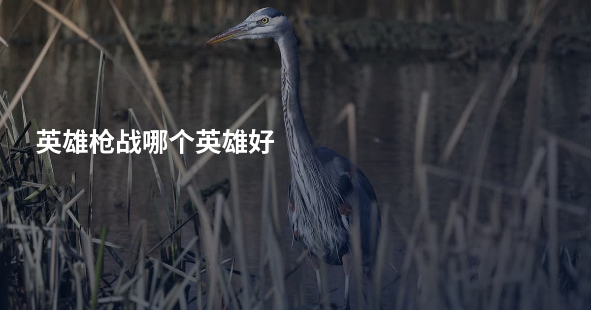 英雄枪战哪个英雄好