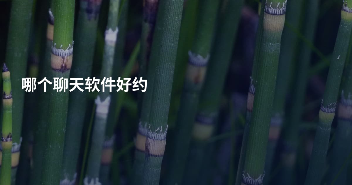 哪个聊天软件好约