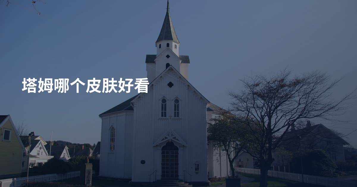 塔姆哪个皮肤好看