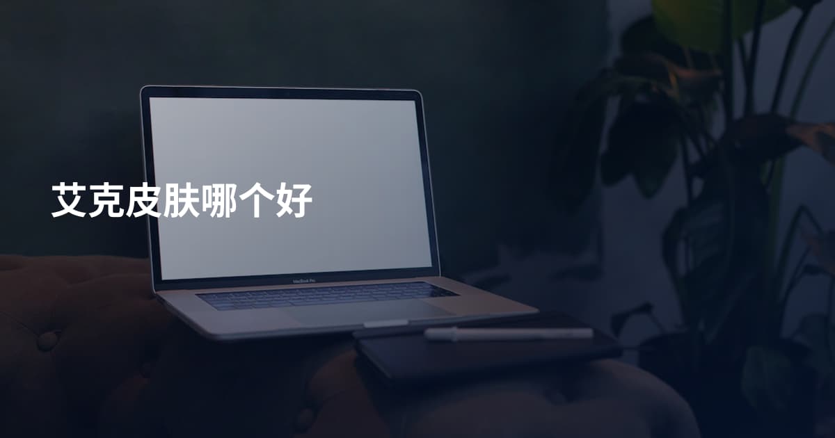 艾克皮肤哪个好