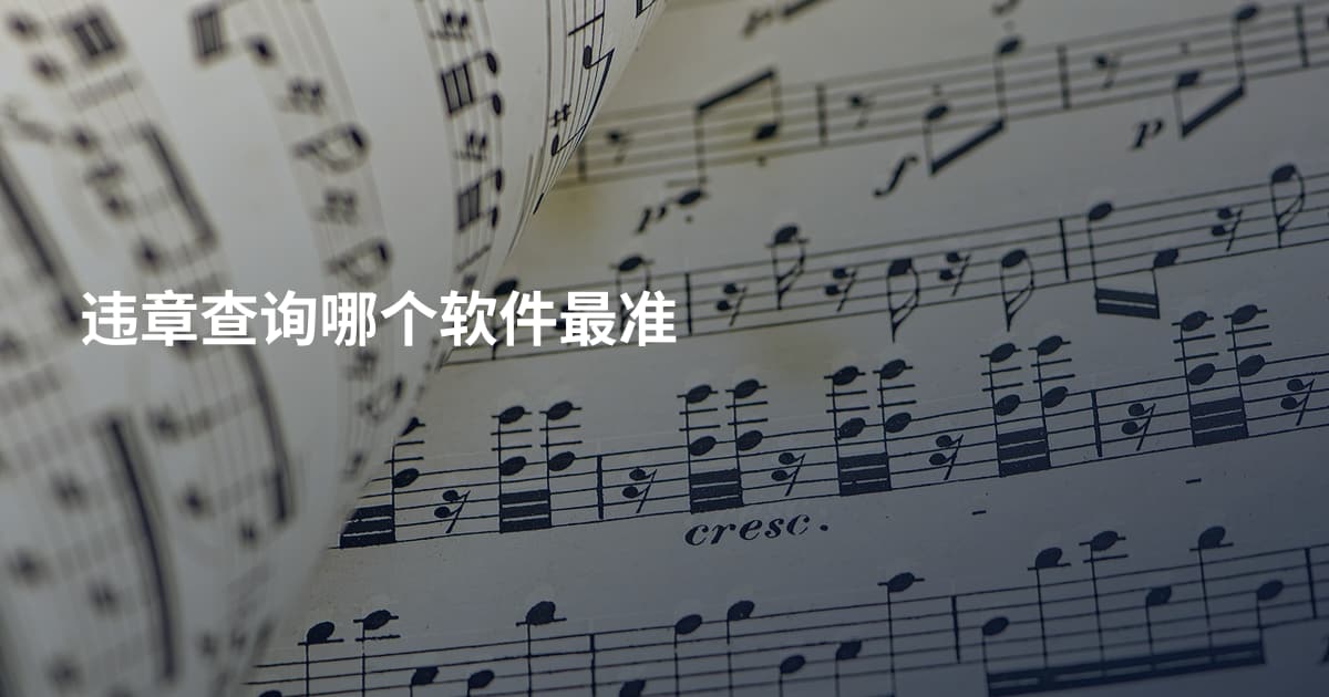 违章查询哪个软件最准