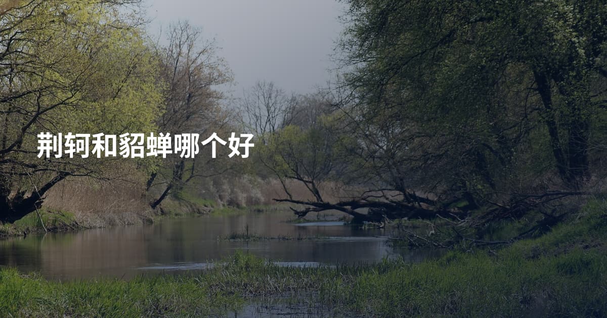 荆轲和貂蝉哪个好