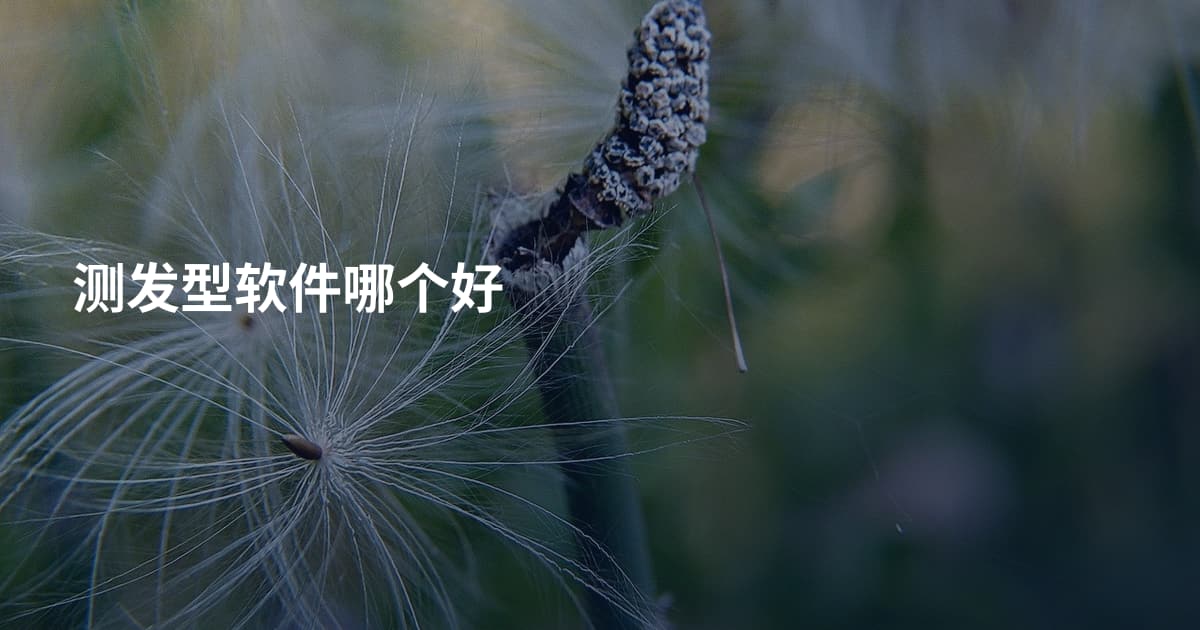 测发型软件哪个好