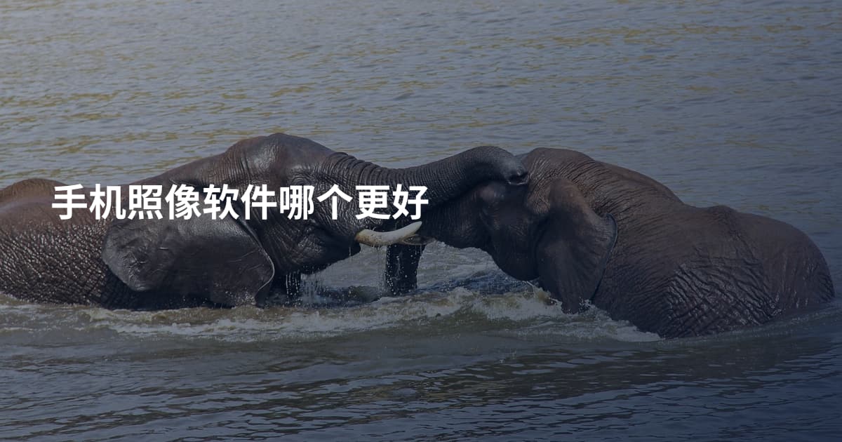 手机照像软件哪个更好