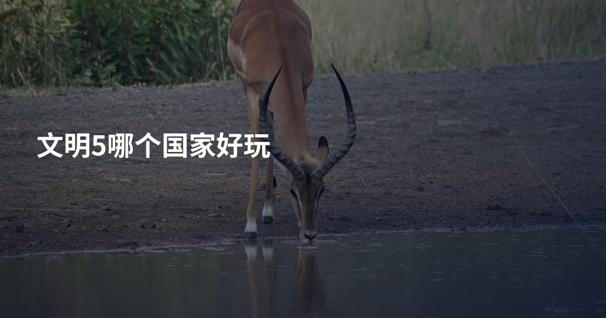 文明5哪个国家好玩