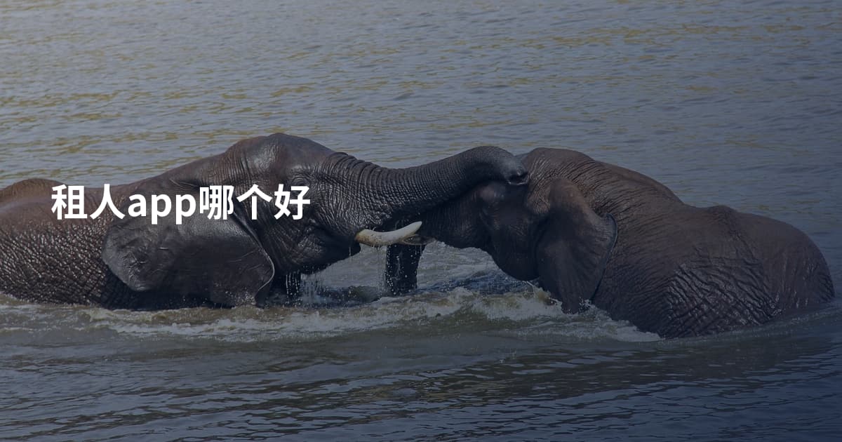 租人app哪个好