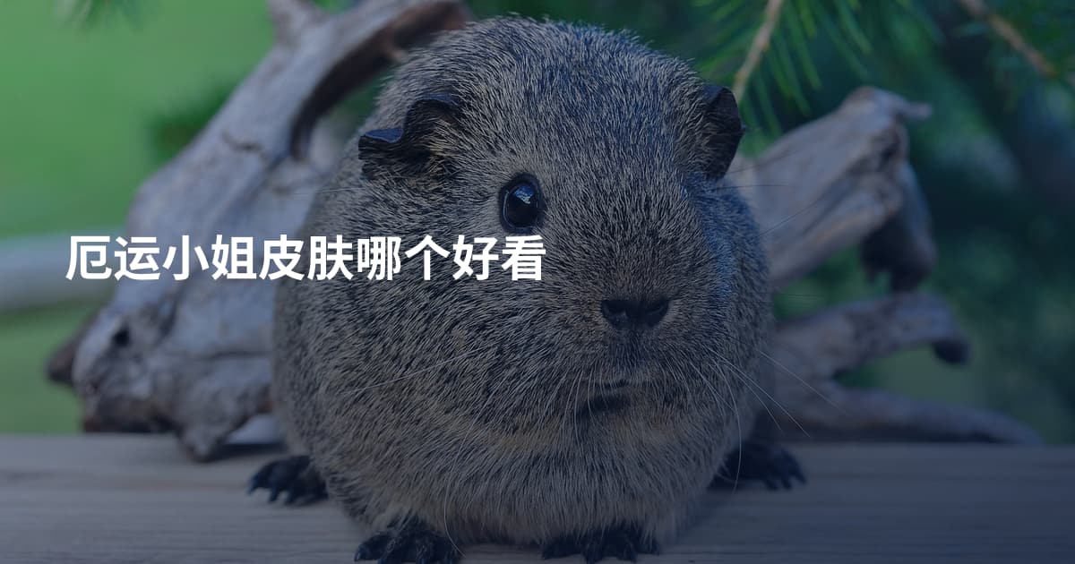 厄运小姐皮肤哪个好看