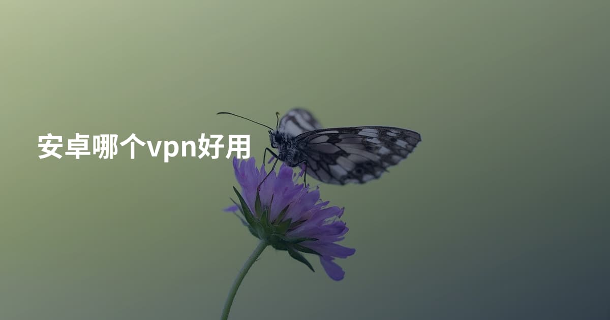 安卓哪个vpn好用