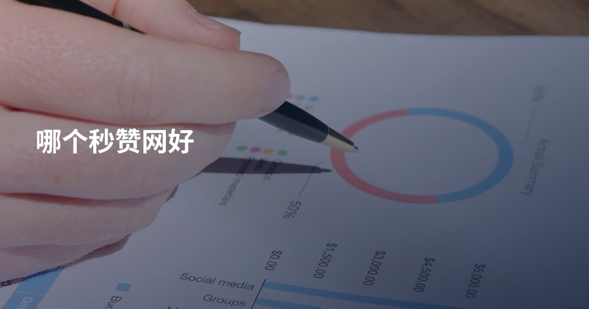 哪个秒赞网好