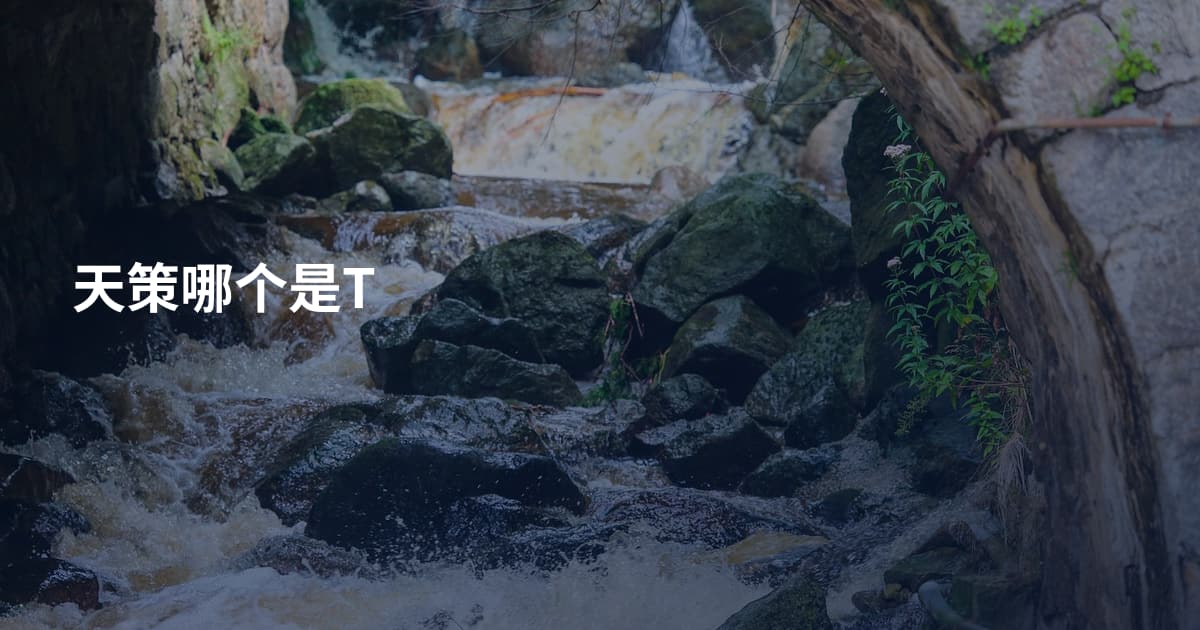天策哪个是T