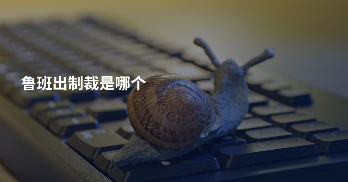 鲁班出制裁是哪个