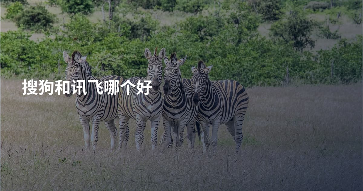 搜狗和讯飞哪个好