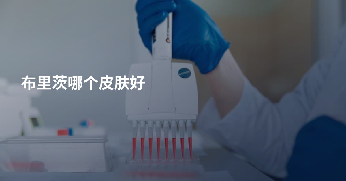 布里茨哪个皮肤好