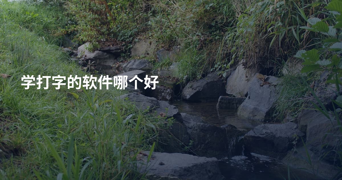 学打字的软件哪个好