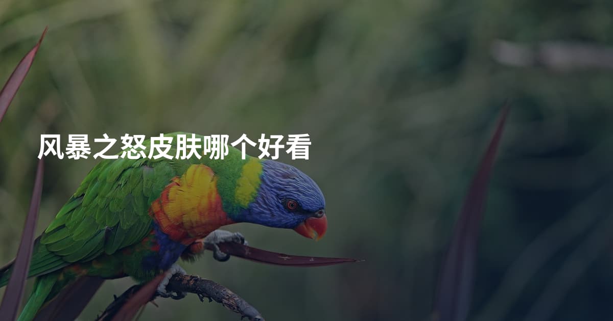 风暴之怒皮肤哪个好看
