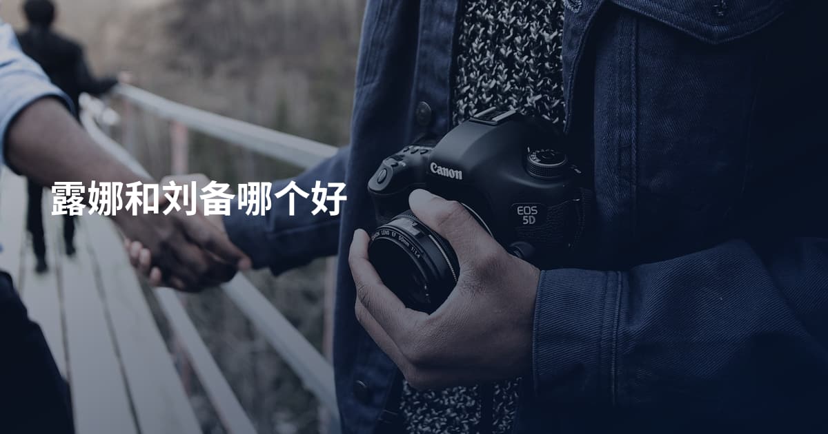 露娜和刘备哪个好