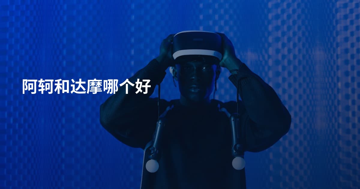 阿轲和达摩哪个好