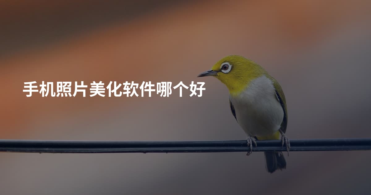手机照片美化软件哪个好