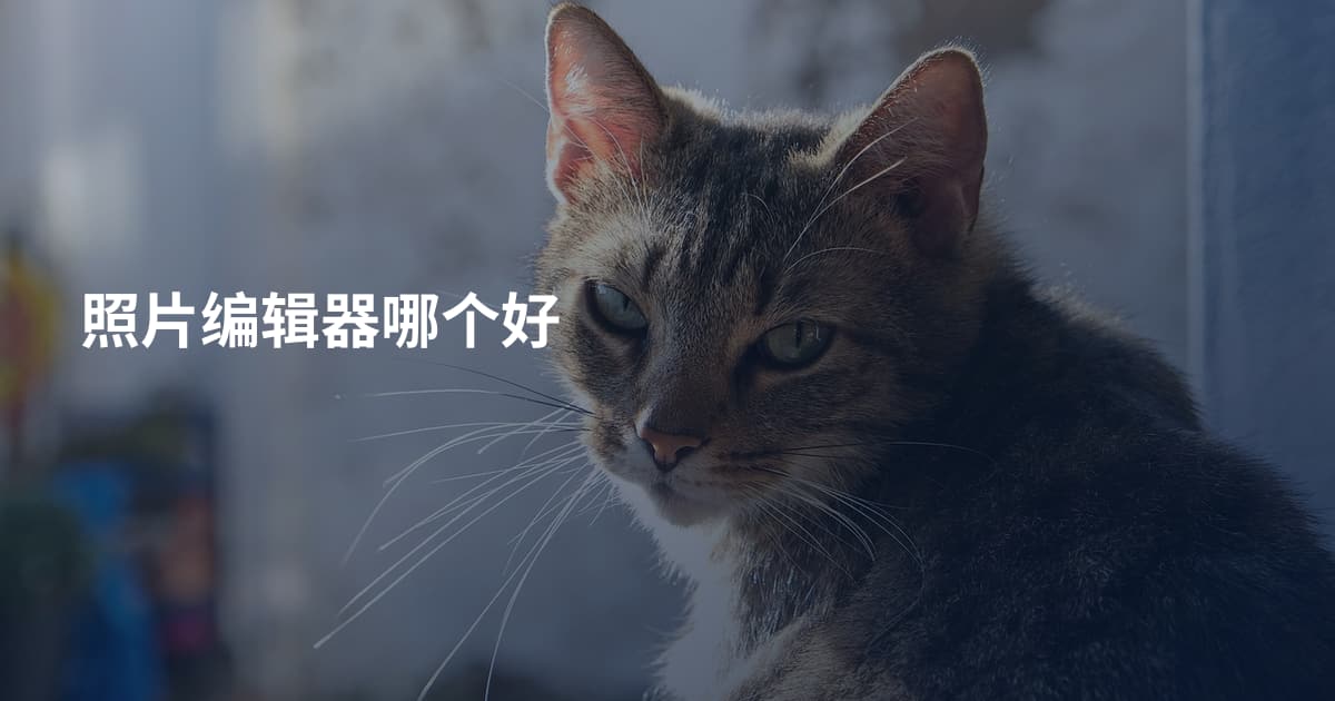 照片编辑器哪个好