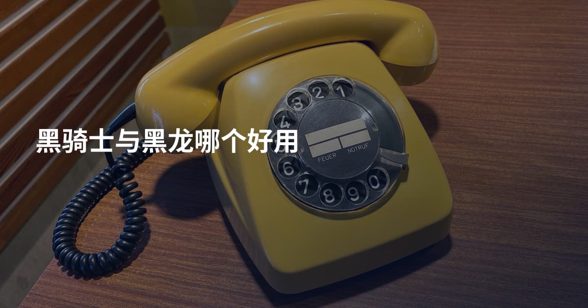 黑骑士与黑龙哪个好用