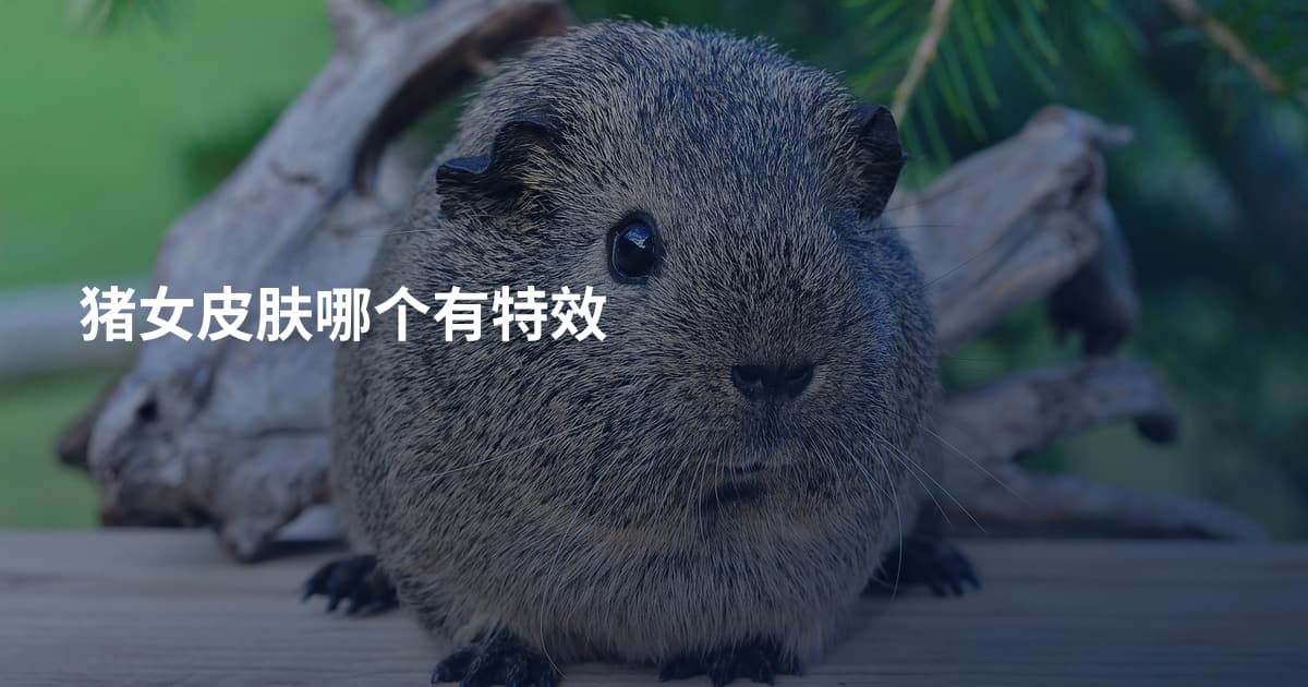 猪女皮肤哪个有特效