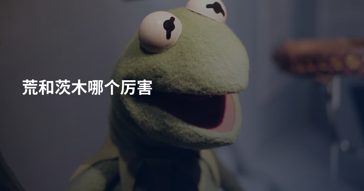 荒和茨木哪个厉害
