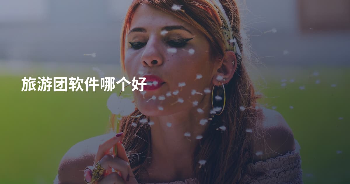 旅游团软件哪个好