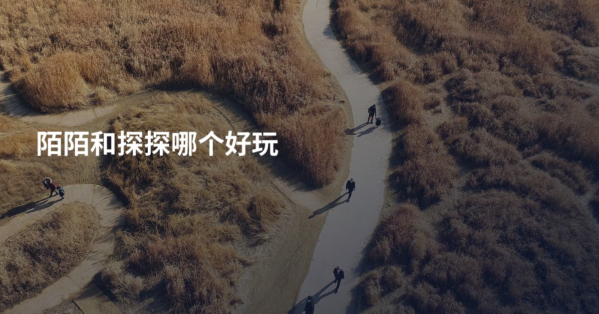 陌陌和探探哪个好玩